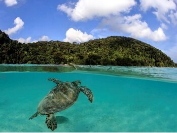 アジアンリラクゼーション ヴィラ 福岡東店(asian relaxation villa)/タイ;シービーズダイビング