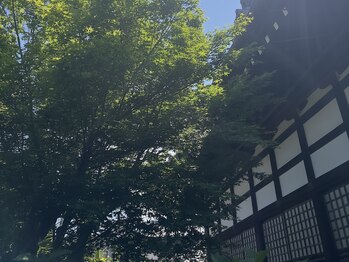 美心/サロンの春夏秋冬
