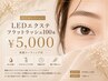 【付け足しLEDエクステ】フラットラッシュ100本¥5000☆束感コーティング付