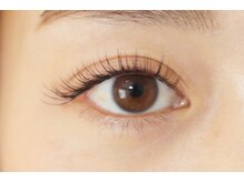 ルピナス(Lupinus)/自まつ毛をボリュームＵＰ！！