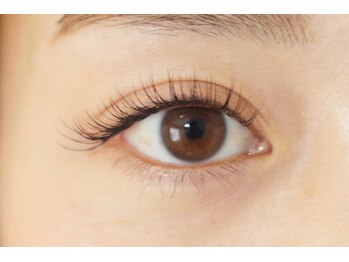 ルピナス(Lupinus)/自まつ毛をボリュームUP!!