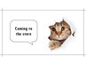 再来クーポン ￥500 OFF【LINE登録者限定クーポン】