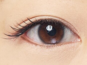 ルシーダ 新宿(lucida shinjuku)/エクステイメージ