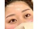 ノア(NOA)の写真