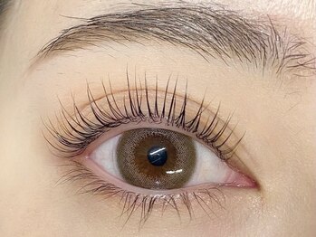 キャリコ(calico)/