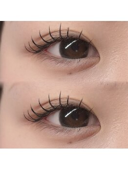 シュエット(Chouette)/フラットラッシュ120本