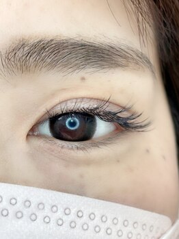 ルピナス(Lupinus)/LEDボリュームラッシュ600本