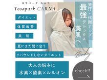 ヨサパーク カルナ(YOSA PARK CARNA)の雰囲気（滞っていたリンパの流れを促すと、全身ポカポカ、冷えも解消◎）