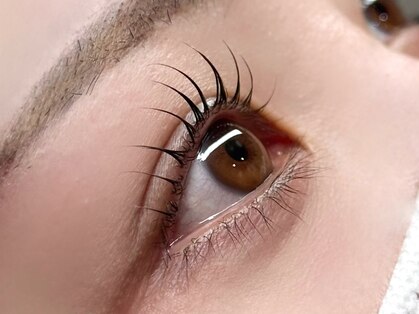 フムス(HUMMUS)の写真