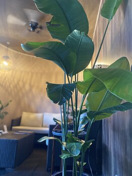 アジアンリラクゼーション ヴィラ 木更津店(asian relaxation villa)/ロビー♪