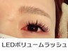 【上品な立体感マツエク◆ワンホン風にもできる】LEDボリュームラッシュ80束