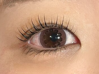 縁と縁(enn to yukari)の写真/まつ毛が上がると気分も上がる♪毎日のメイクが楽になる◎お悩み、理想、なんでもお気軽にご相談ください！