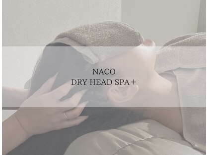 ナコ(NACO)の写真