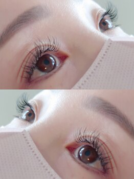 アポストロフィエス/フラットラッシュ120本