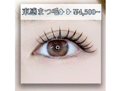 トット(Totto)の写真