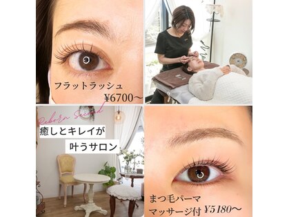 リボーン セカンド(Re-born second)の写真