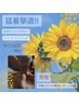 《男性》猛暑撃退!!サマーストレス解消クーポン  120分（ヘッド付）