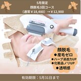 奏美