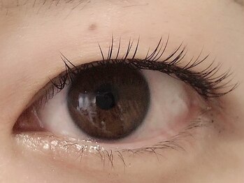 カラン 焼津店(CALIN)/フラットラッシュ100本