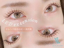 リビケイト 堀江店(Livicate)