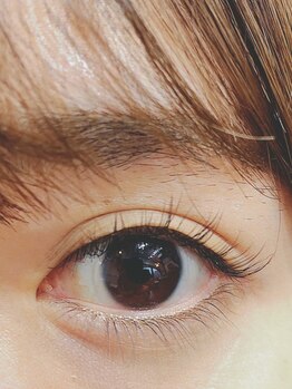 アイラッシュ ノート1103(eyelash note.1103)/ブラウンフラットラッシュ80本