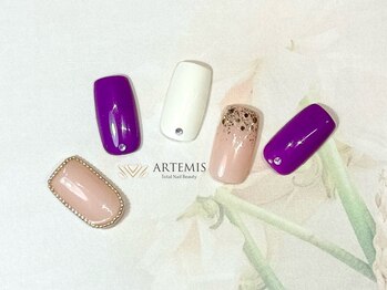 アルテミス(ARTEMIS)/ゴージャスコース