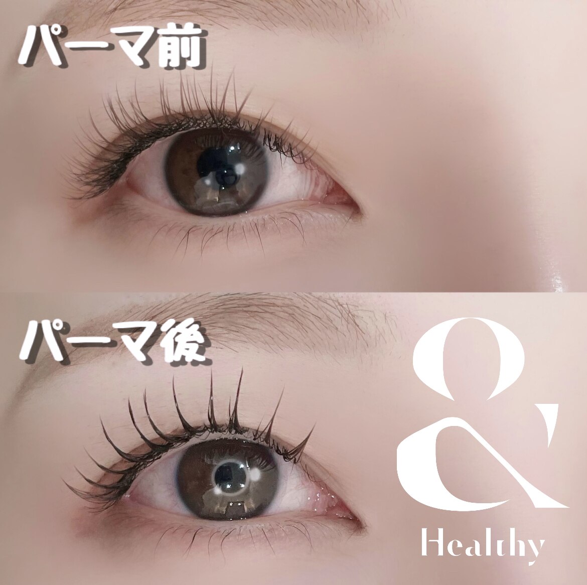 【＆healthy/＆ヘルシー】エクステ後にマツパ/フラットラッシュ/80〜180本