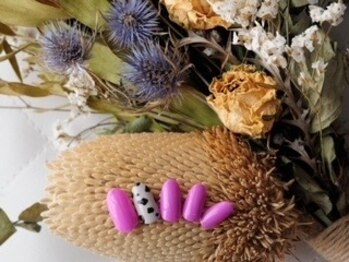 シュシュグラティ(chou chou Gratiii)/牛さん