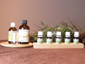 ディル(dill)/香りを楽しむ！