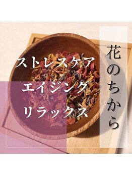 サロンカーム(Calm)/ハーブテント ハーブ