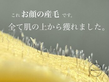 ワクシー 恵比寿店(WAXYYY.)/実は沢山生えてるお顔の産毛