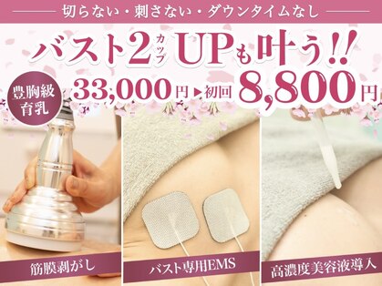 美人バスト 豊橋店の写真