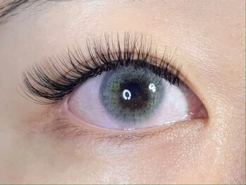 アロマボーテ ソア(Aroma beaute Soi)/ボリュームラッシュ560本