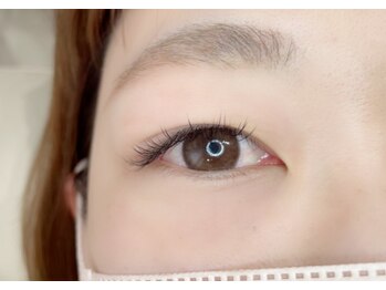 ルピナス(Lupinus)/LEDフラットラッシュ120本