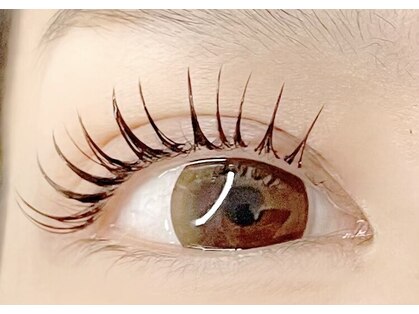 ビモア(BIMOA)の写真