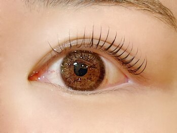 デイジーラッシュ 神戸三宮店(Daisy Lash)/まつげパーマ/パリジェンヌ/神戸