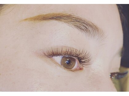 ラッシュ(LASH)の写真