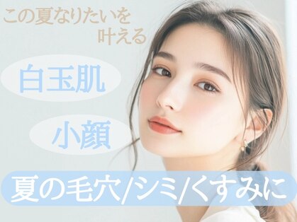 ベアール(beal)の写真
