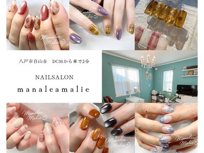 マナレアマリエ(manalea malie)の写真