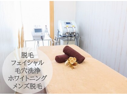 スリーク(Sleek)の写真