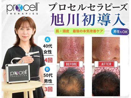 エリア(area.)の写真
