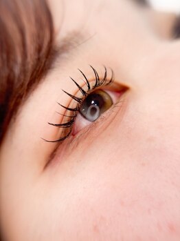 アプリラッシュ シエロ(Apri Lush Cielo)の写真/持ちの良さ&まつ毛の状態に合わせたご提案が自慢♪ふわふわのクッションでくつろぎながら美まつ毛を叶える!