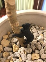 ほぐし屋本舗梅田整体&nbsp;二代目 オレンジ