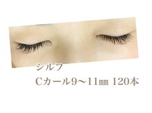 シルフ 石橋店(Sylph)/キュートスタイル120本
