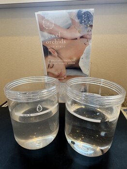 ジュエルオーキッド(Jewel orchids)/ハイドロ後