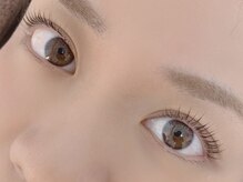 キャリコ(calico)/