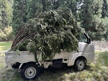 ニフ 新宿三丁目(nifu)/林地残材の活用