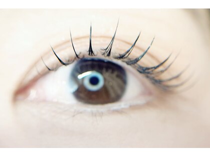 サーリアイラッシュ(Saari eyelash)の写真