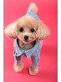 ティアラ(TIARA)&nbsp;愛犬のハナちゃん。わんこの話になるととまりません( ´∀｀ )
