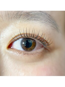 リンク(LINK)/上まつげパーマ